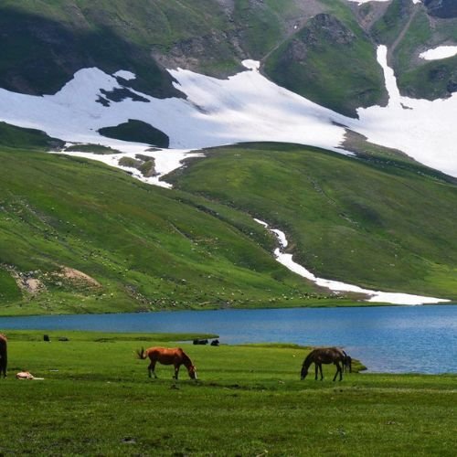 listing-details-carousel